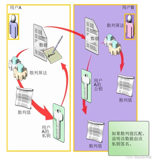 Windows環(huán)境下的數(shù)字簽名與數(shù)字內(nèi)容制作服務(wù) 構(gòu)建可信網(wǎng)絡(luò)安全的基石
